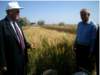 acadalievshowingnewwinterwheatvarietiesazerbaijananotherview_small.jpg