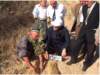 treegrowthonslopinglandfakhrabadsitetajikistan2002_small.jpg